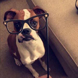 Meet your Posher, Maurice